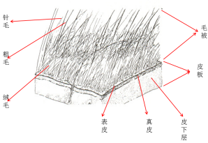 bifa·必发(中国区)唯一官方网站