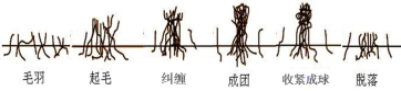 bifa·必发(中国区)唯一官方网站
