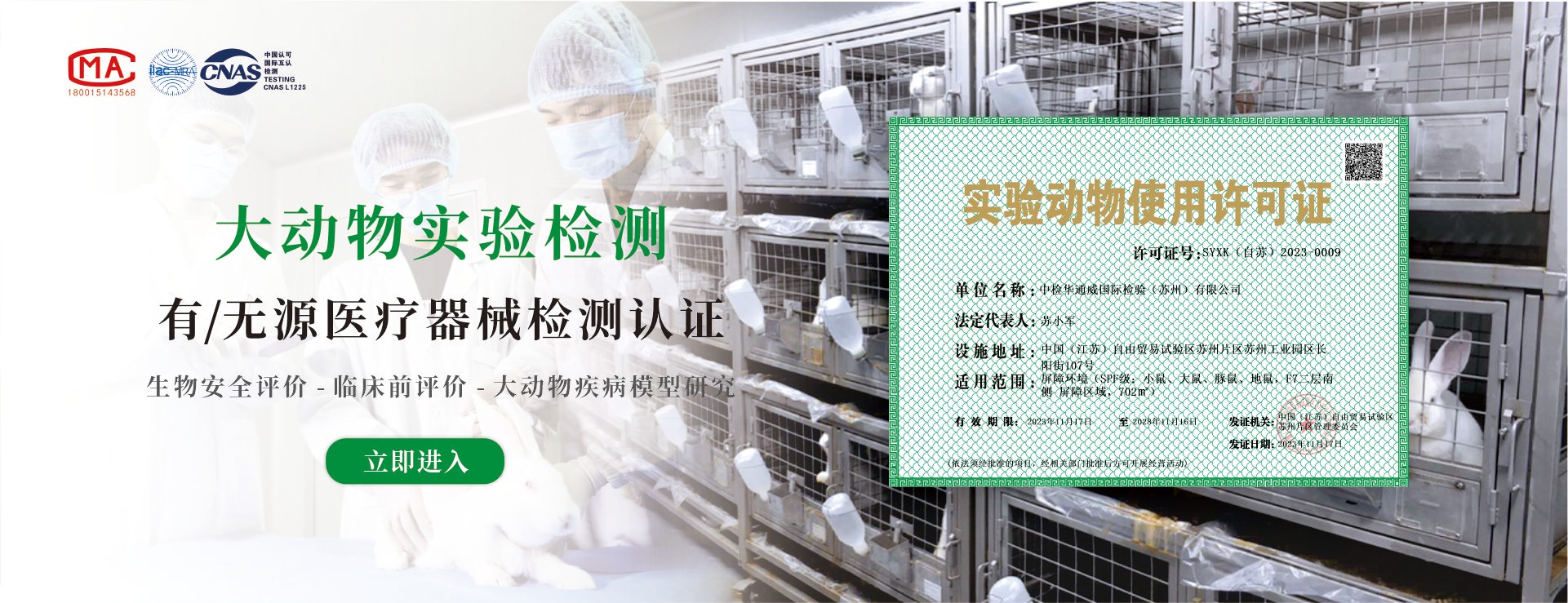 大动物尝试检测
